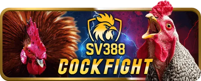 Dịch vụ khách hàng chuyên nghiệp của 11 bet.com