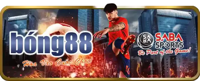 Cam kết dịch vụ hỗ trợ chất lượng từ 11 bet.com